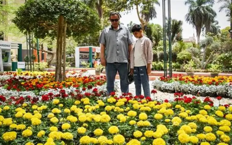 مع تواصل التقلبات الجوية.. مدة فصل الربيع 2026 فلكيًا وموعد انتهائه.